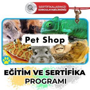 Pet Shop Sertifikası ve Eğitimi